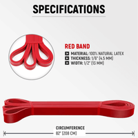 XGear Fitness XG-PRO Heavy Duty Exercise Resistance Bands