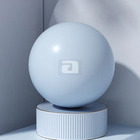 Yoga Fitness Exercise Hip Lifting Mini Small Ball Thickened Explosion-proof Pilates Yoga Ball Balance Balls 25cm