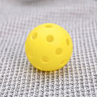 ARTI Indoor Pickleball - Level Up Fitness Shop