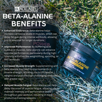 BETA-ALANINE - Level Up Fitness Shop