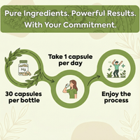 Florava Natural Gut Wellness Capsules | 30 Vegan Capsules