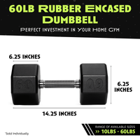 Octo Rubber Dumbbell (sold individually) - Level Up Fitness Shop